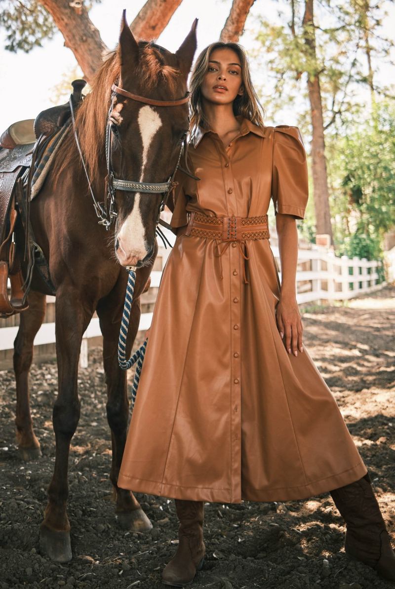 Mocha Dreams Dress