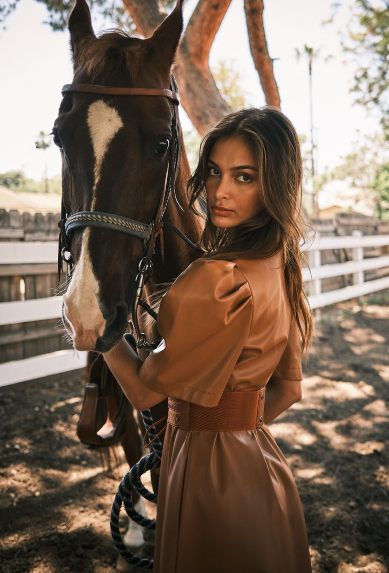 Mocha Dreams Dress