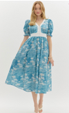 Brushed in Bloom Dress