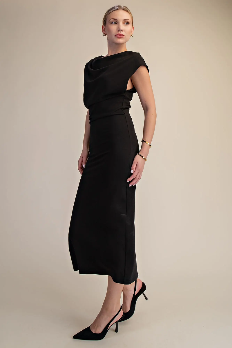 Black Swan Dress