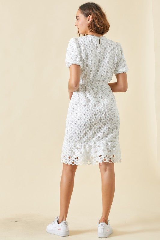Lovely in Lace Dress