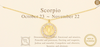 CZ Zodiac Sign Necklace