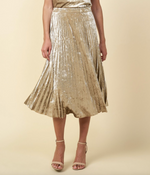 Rock Steady Velvet Skirt