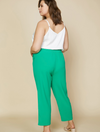 Perfectly Made Pants-Plus Size