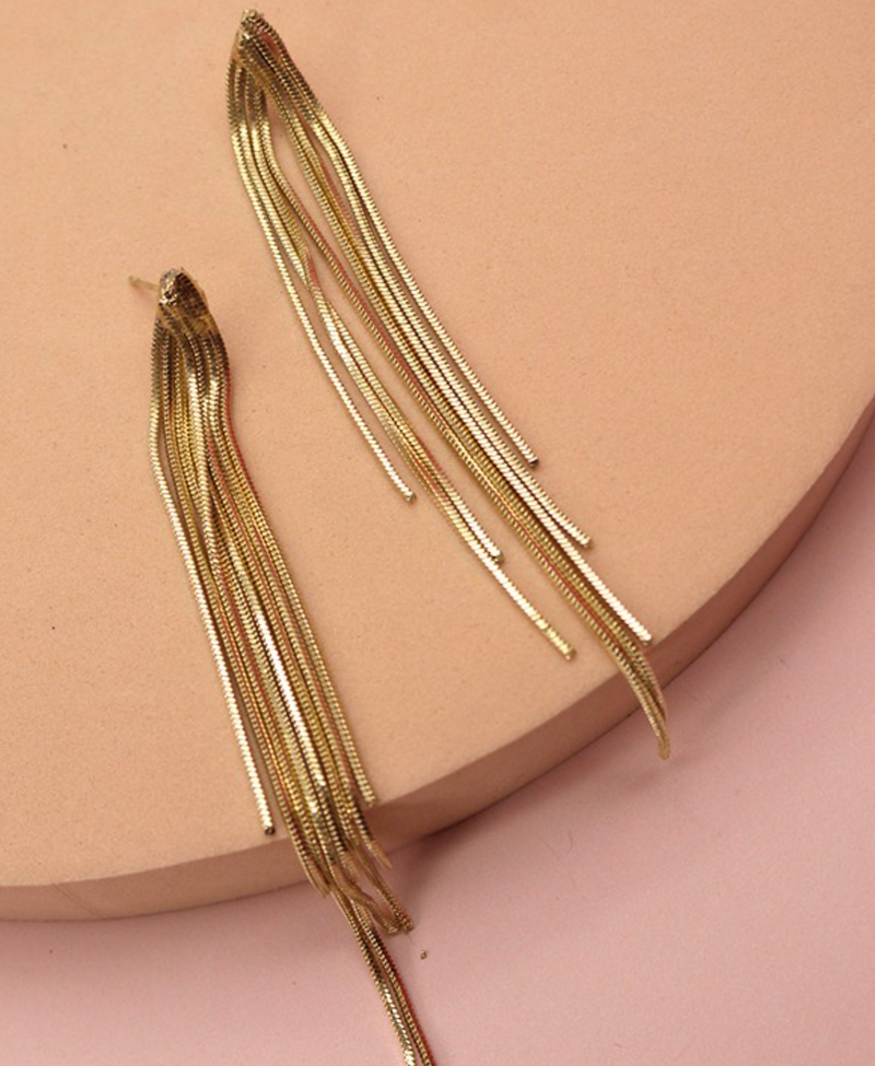 Chain Tassel Earrings