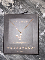 Zodiac Necklace